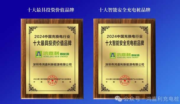 匠心致遠(yuǎn)，載譽(yù)前行：2024年鴻嘉利新能源榮獲充換電十大品牌獎(jiǎng)！(圖5)